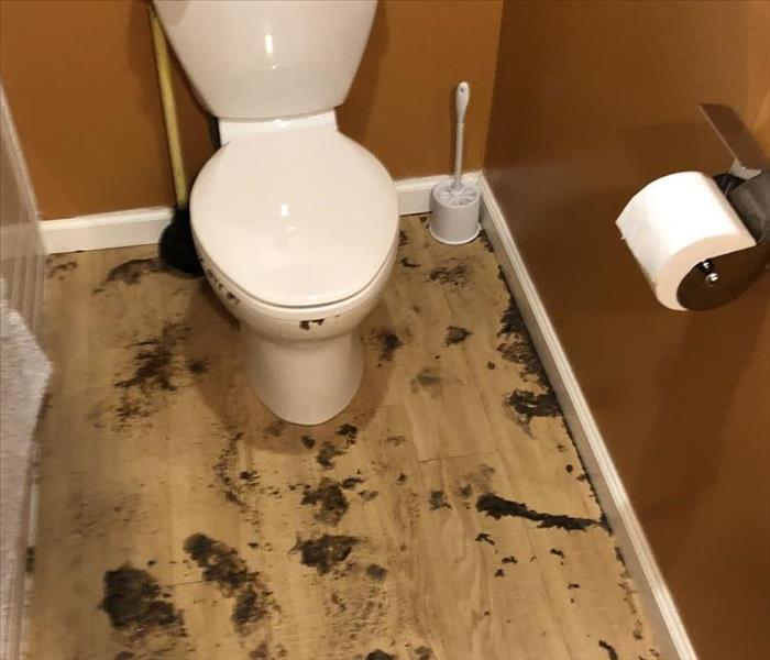 Sewage loss in bathroom