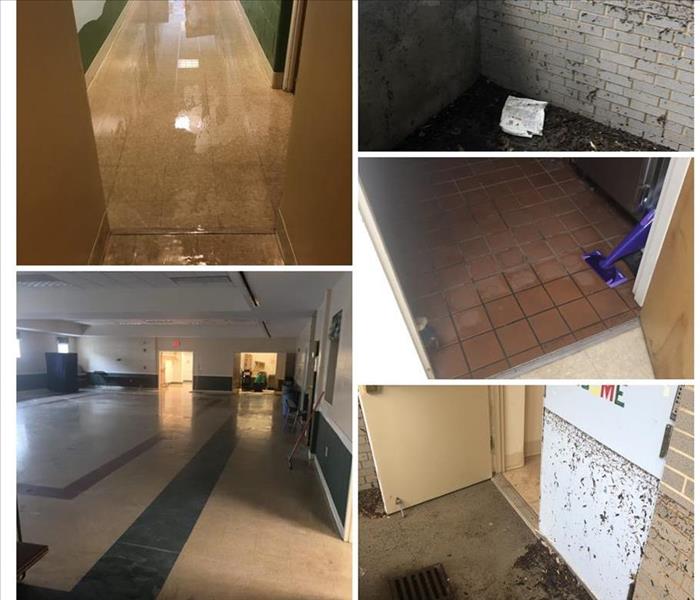 Commercial Water damage cleanup, Water damage cleanup and repair, restoration water damage experts, water & mold cleanup