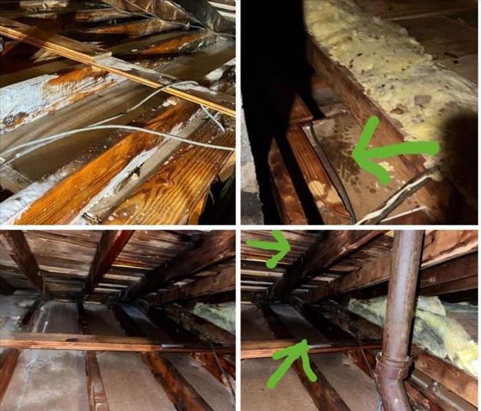 Water damage and Mold in Attic
