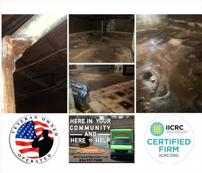 Mold inspection near me, Free mold inspection in NJ, Mold in NJ, mold remediation company near me, mold removal near me