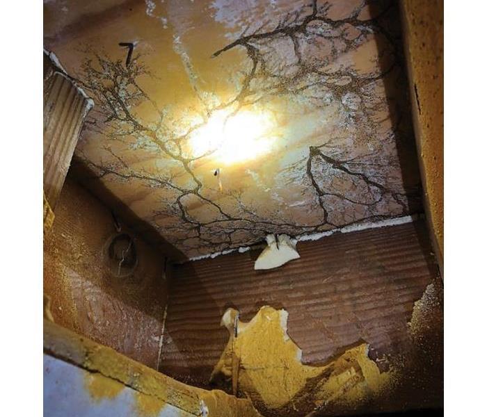 Termite damage signs, signs of termites, termite damage near me, spray foam insulation in wall/ceiling