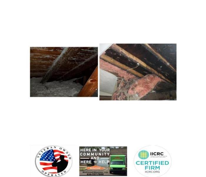 Mold growth in Attic and in ceiling