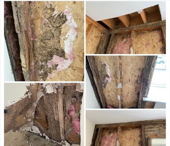Termite damage in NJ, Termite inspection near me, Pest Control near me, Termite inspectors near me