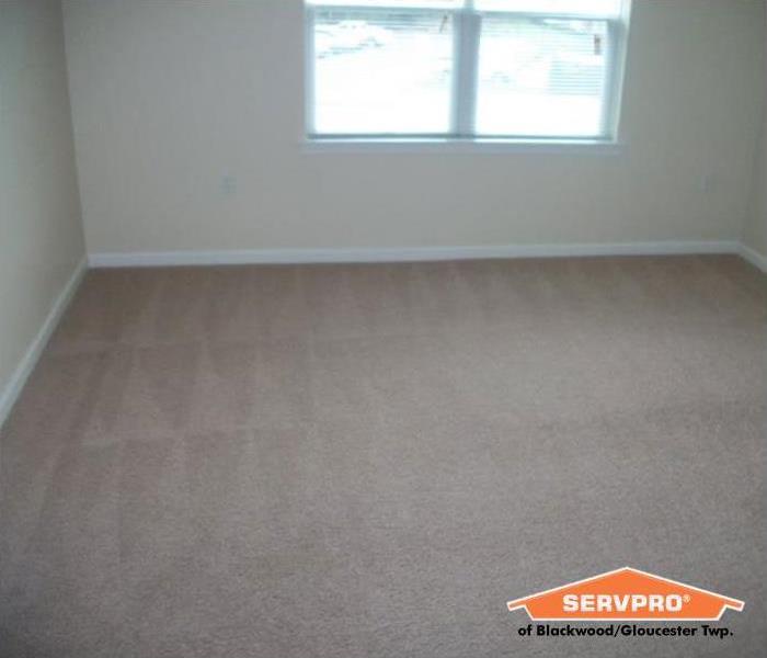 freshly cleaned carpet in an empty apartment bedroom