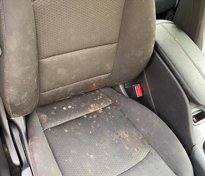 Mold Remediation in Vehicles, Mold remediation in Cars in NJ, Mold remediation in Trucks in NJ, Mold removal in Vehicles - NJ