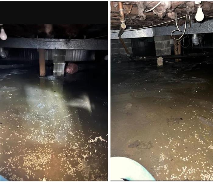 Water damage and Mold growth in Crawl Space