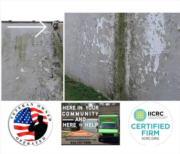 What is Mold Remediation?  What is Stucco Remediation?