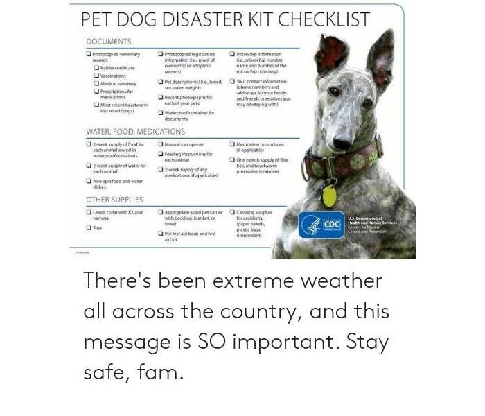 Pet Disaster Preparedness Kit Checklist, Hurricane Emergency Checklist, Preparation Checklist, Storm checklist in NJ
