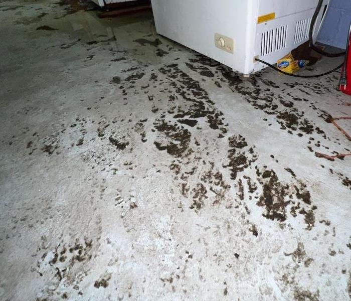 sewage water and debris on floor
