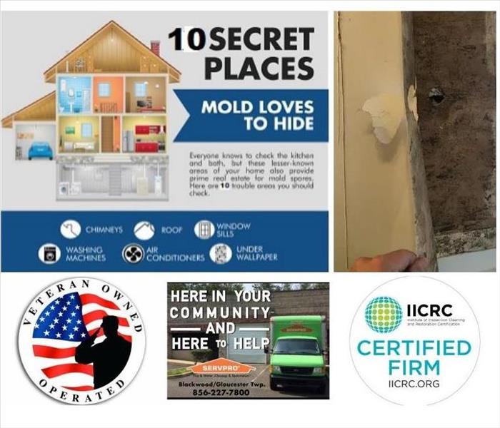 Top 10 Hidden Places, You Might Find Mold Growth in your Commercial and Residential Property 